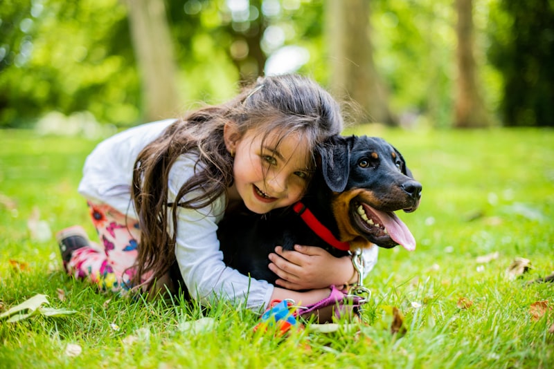 女の子と犬が芝生でふれあう様子