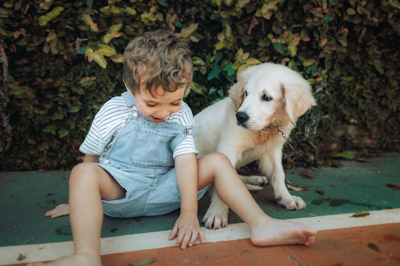 男の子と子犬がふれあう様子